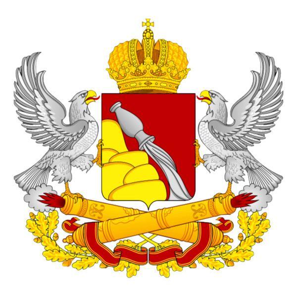 Воронеж LIFE